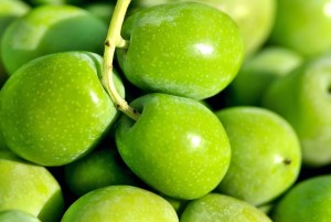 foto olive