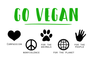 vegan-1343429_640 (1)